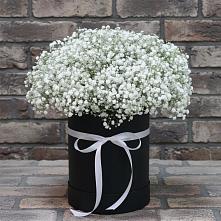 Цветочная композиция из Гипсофила в шляпной коробке в Воздвиженском Ставропольского края