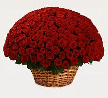 Премиум букет из: Розы в Воздвиженском Ставропольского края